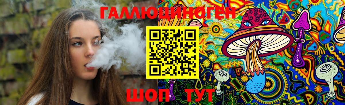 Псилоцибиновые грибы Psilocybe Курган
